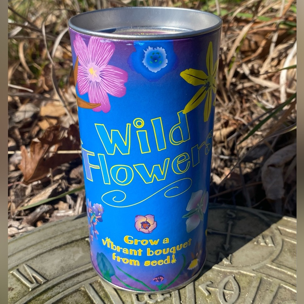 2 Pack - Wildflower Mix | Seed Grow Kit | The Jonsteen Company NEW - Picture 2 of 10